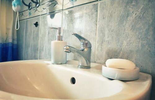 Ruzicin dvor - Photo 23