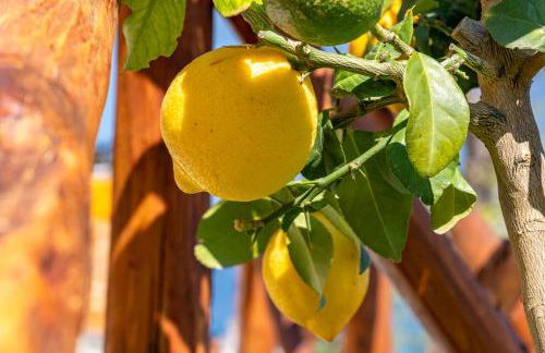 JoRi Vista Amalfi - Foto 7