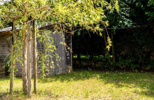 FeHaus Die grüne Tür - Foto 5