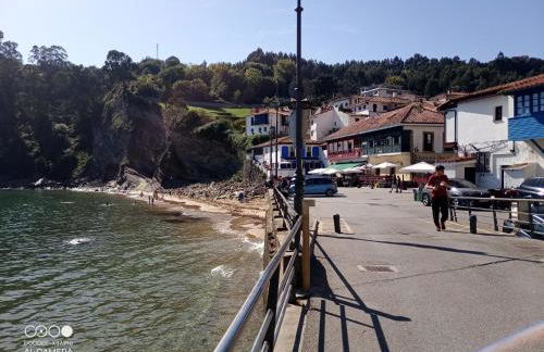 Tazones 79 VUT6993AS - Foto 52