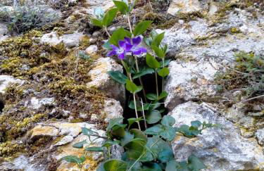 Casa in splendida riserva naturale - Foto 11
