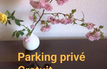 Appartement Zen Strasbourg center avec parking - Foto 3