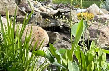 Pension Hugo - Foto 59