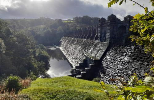 Yr Hen Efail - Quirky Old Smithy cottage near forest walks, cycling & lakes - Foto 17
