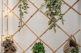 Wanderlight Casa - Foto 9