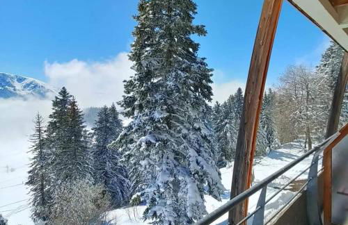 Chamrousse 1700 - Les Domaines de LArselle - Silènes C32 - Classé 3 étoiles- Vue sur les montagnes - - Foto 17