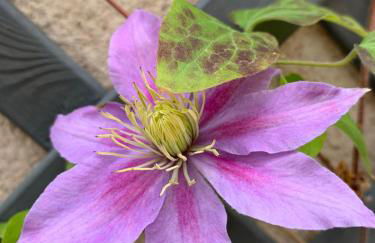 York Staycation with parking included - Foto 20