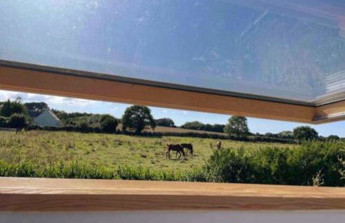 Field house - Foto 25