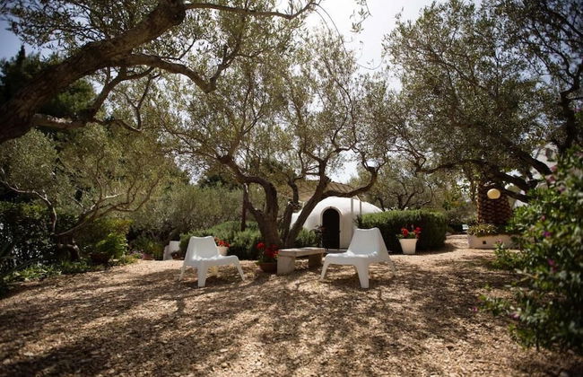 Residence Guidaloca - Photo 18