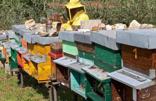 Agriturismo Il Ponticello - Foto 43