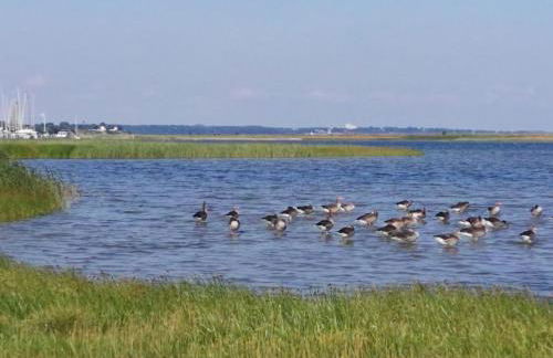 Ferienappartements Marina Wendtorf an der Ostsee - Foto 29