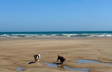 Autumn Cottage - Photo 33