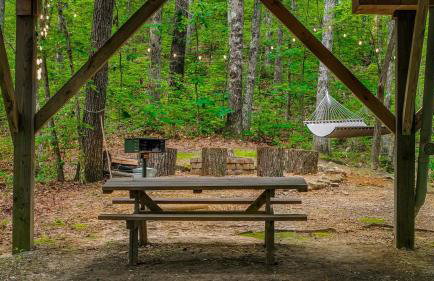 Serenity Escape Treehouse on 14 acres near Little River Canyon - Foto 6