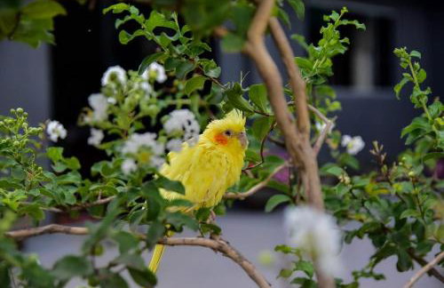 Paraiso valle verde - Foto 50