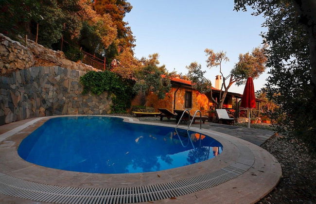 Terra Punto - Photo 1