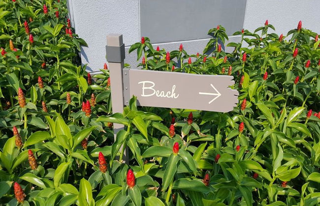 The Relaxing Room Pool Access at Rain Resort Condominium Cha Am- Hua Hin - Foto 28