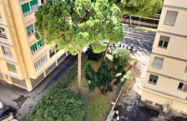 Nontiscordardimé - Foto 22