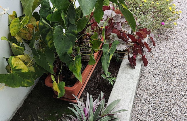 2-bed Apt, Sleeps 5, Near Beau Vallon Beach - Foto 33