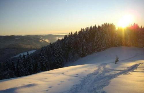 Apartment Ebser by Interhome - Foto 15