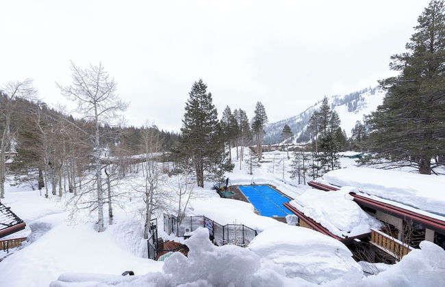 Olympic Village Inn - Photo 43