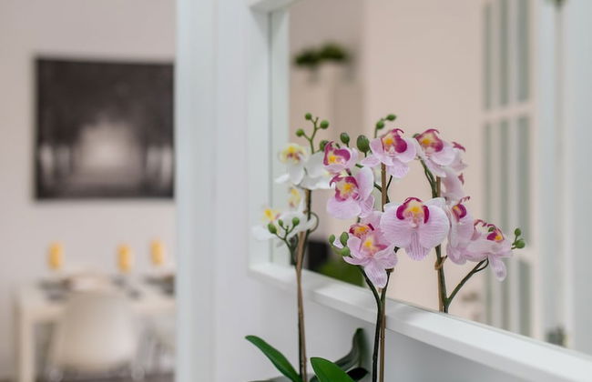 Santa Cruz Downtown Apartment, Luminosidad, Confort y Estilo - Foto 12