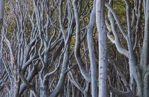 Ferienwohnung Sonne - Photo 15