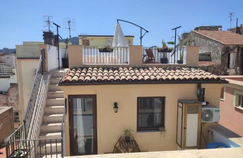 L'OLIVA CONTESA - la NERA - Foto 31