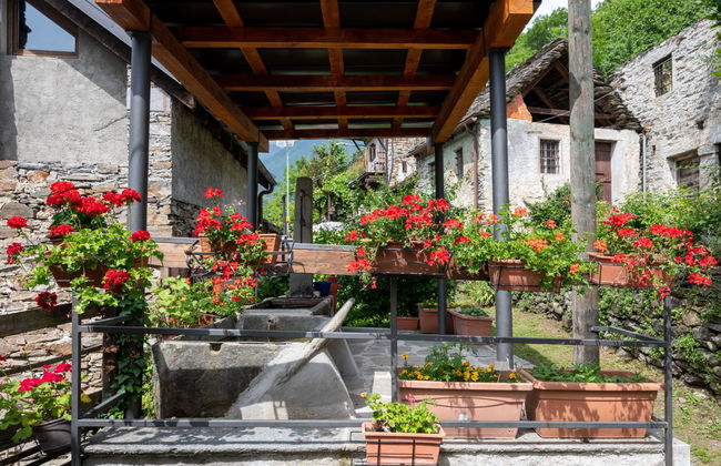 Il Gianlupo Grigio - Foto 27