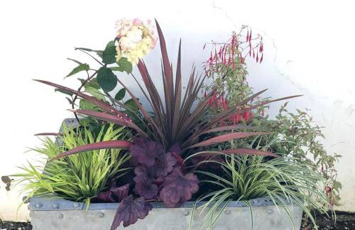 Red Kite Cottage - Foto 46