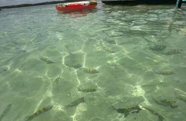 Beira mar porto de pedras rota dos milagres - Foto 43