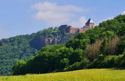 Eifelhof mit Obstbaumwiese - Foto 37