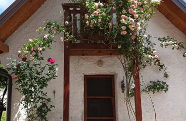 Apartman Latin 2 - Photo 6