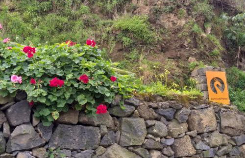 Quinta da Pavoa - Cottage House - Photo 3