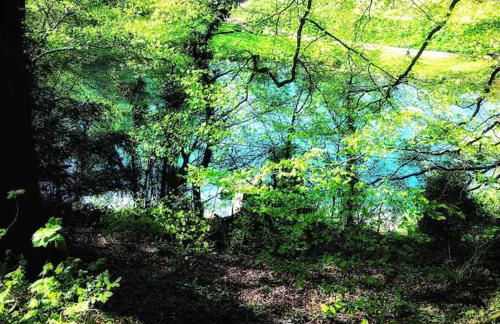 Eclectic Barn - Pergola & Dog-Friendly Garden - Photo 78