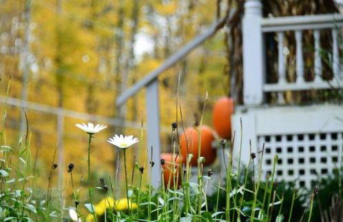 Schoolhouse Suite - Foto 23