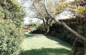 Charming Cornish Cottage, Portreath, Dogs Welcome - Foto 21