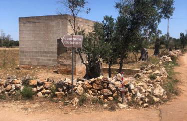 Trullo Totoli Gallipoli Salento - Foto 25