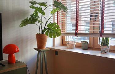 Retro Studio Centrum - Foto 12