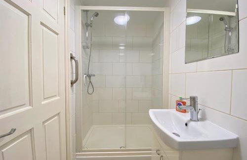 Brown Snout - Foto 9