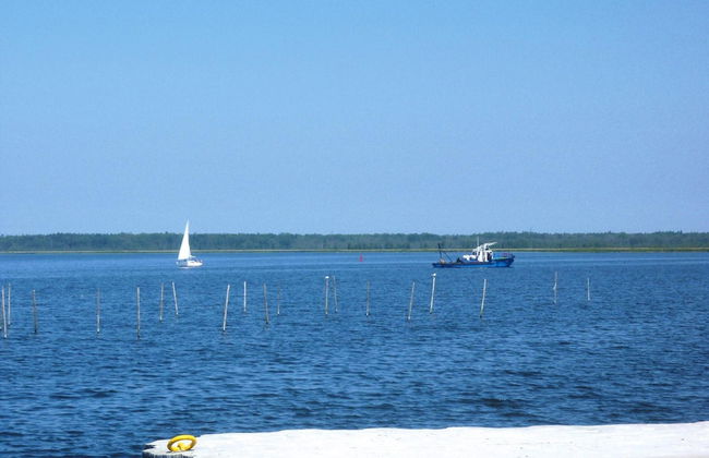 Detached Cottages by the Lake, Lubin - Photo 23