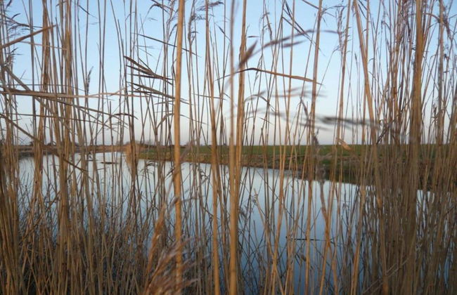 Lodge in Appledore Near Camber Sands Beach - Photo 27