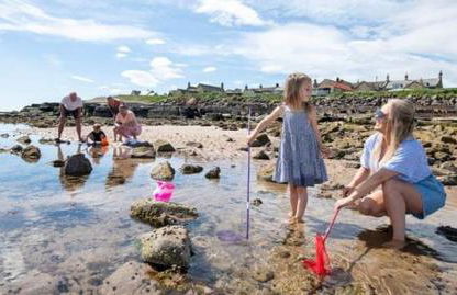 The Gull & Puffin Cresswell - Photo 28