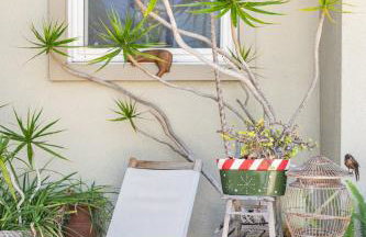 Comfortable Home in San Diego Lemon Grove Area - Foto 8