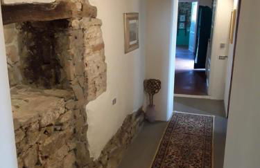 Poderino La Noce - Foto 31