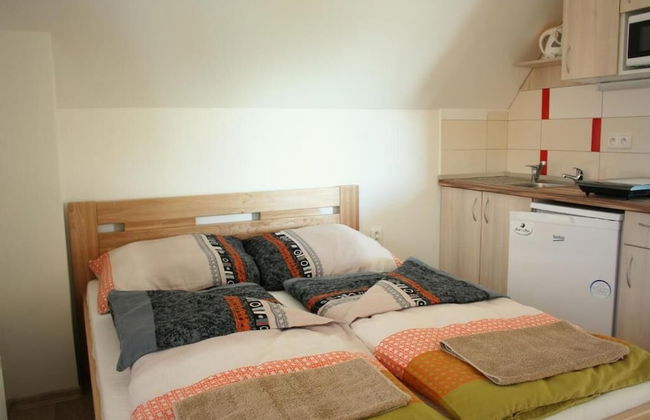 PENZION POD PALAVU - Photo 6