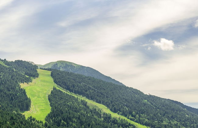 Apartamentos Prat de les Molleres - Foto 20