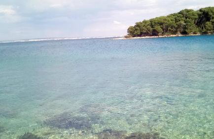 Apartment Apartmani Natasa - Foto 14