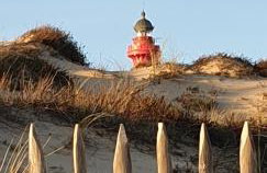 Gîte 2 à 4 pers Les Pommes de Pin Les Mathes La Palmyre proche zoo et plages - Photo 24