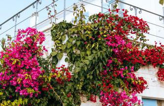 Luxury Apartments La Villa - Foto 68