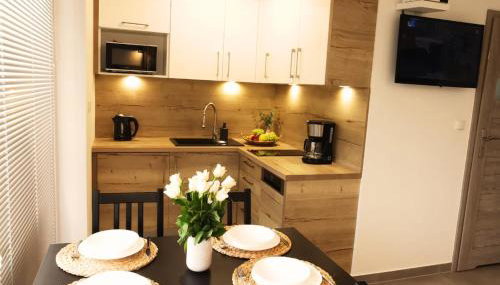 OKej domki Łeba - Nowęcin - Foto 5, stove, minibar